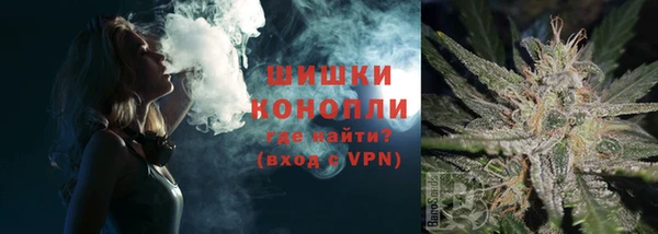 молекула духа Магадан