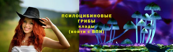 молекула духа Магадан