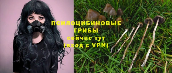скорость Мегион
