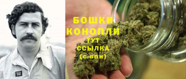 молекула духа Магадан